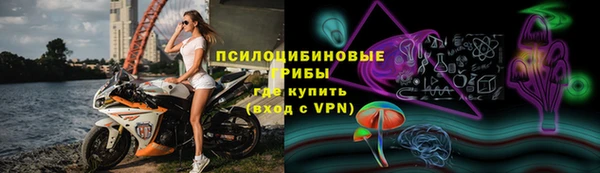 прущие крисы Медвежьегорск