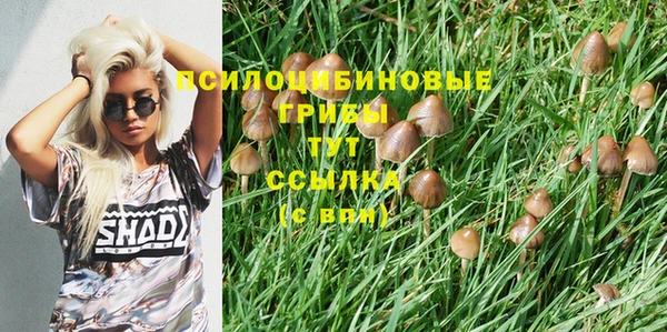 скорость mdpv Михайлов