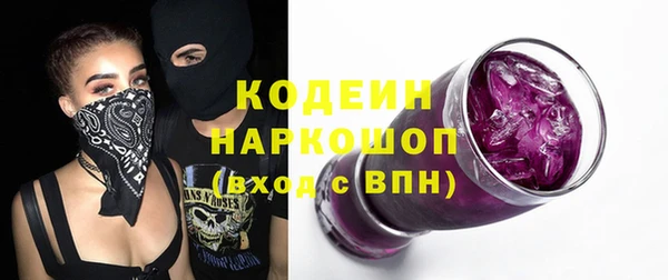 прущие грибы Михайловск