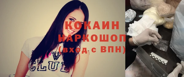 прущие грибы Михайловск
