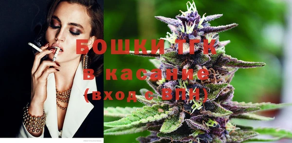 прущие грибы Михайловск