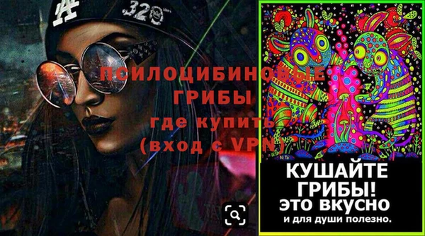 прущие грибы Михайловск