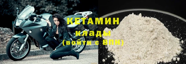 прущие грибы Михайловск
