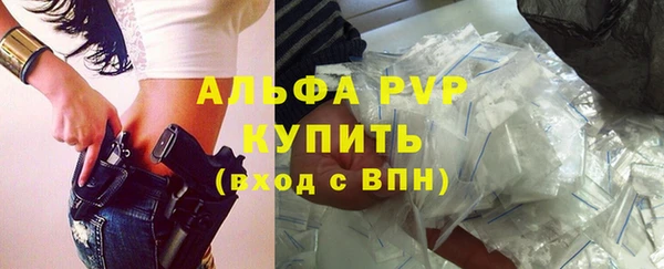 прущие грибы Михайловск