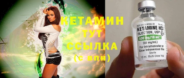 прущие грибы Михайловск