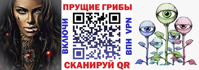 Псилоцибиновые грибы Psilocybe  Нолинск 